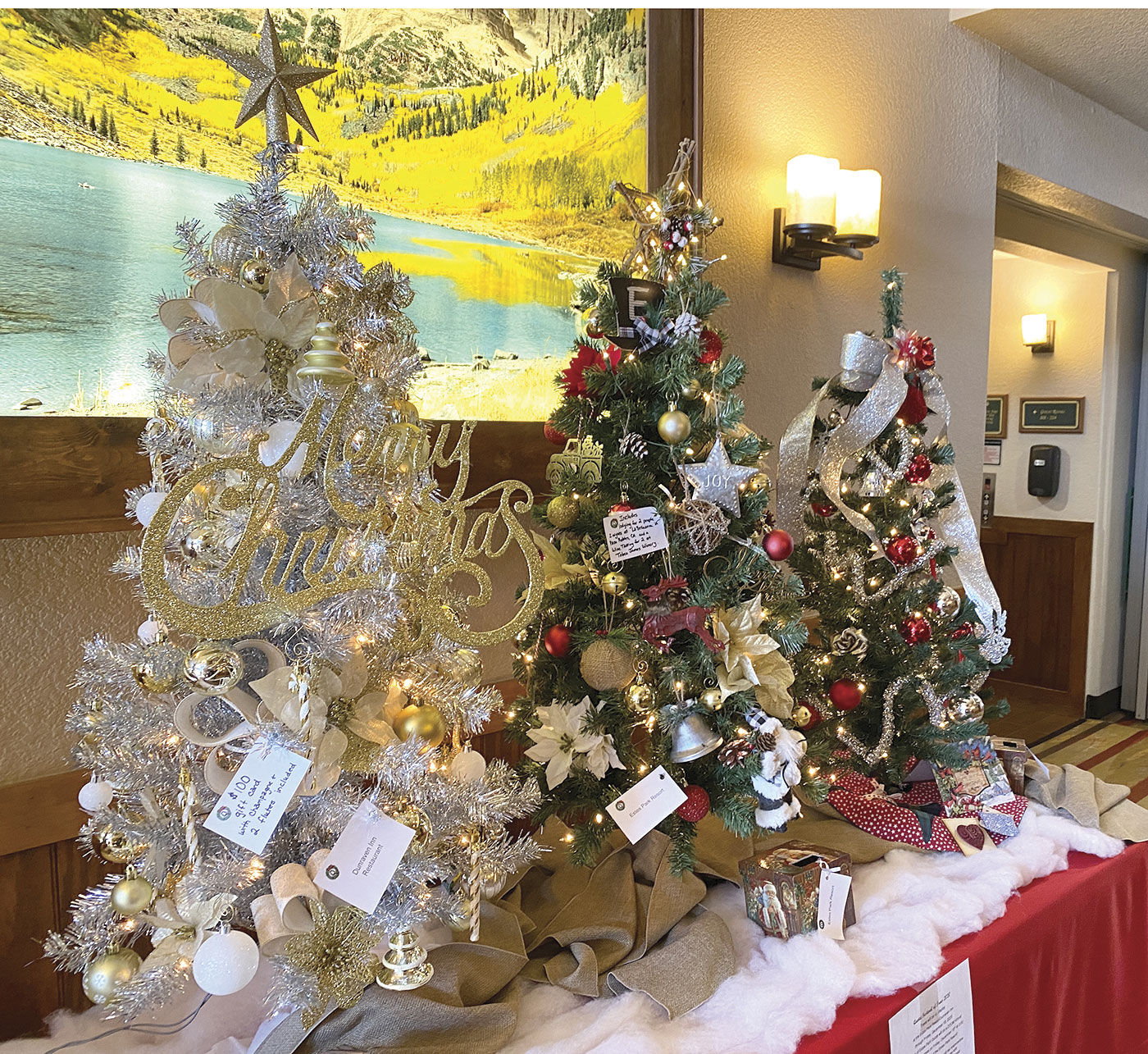 Festival of Trees